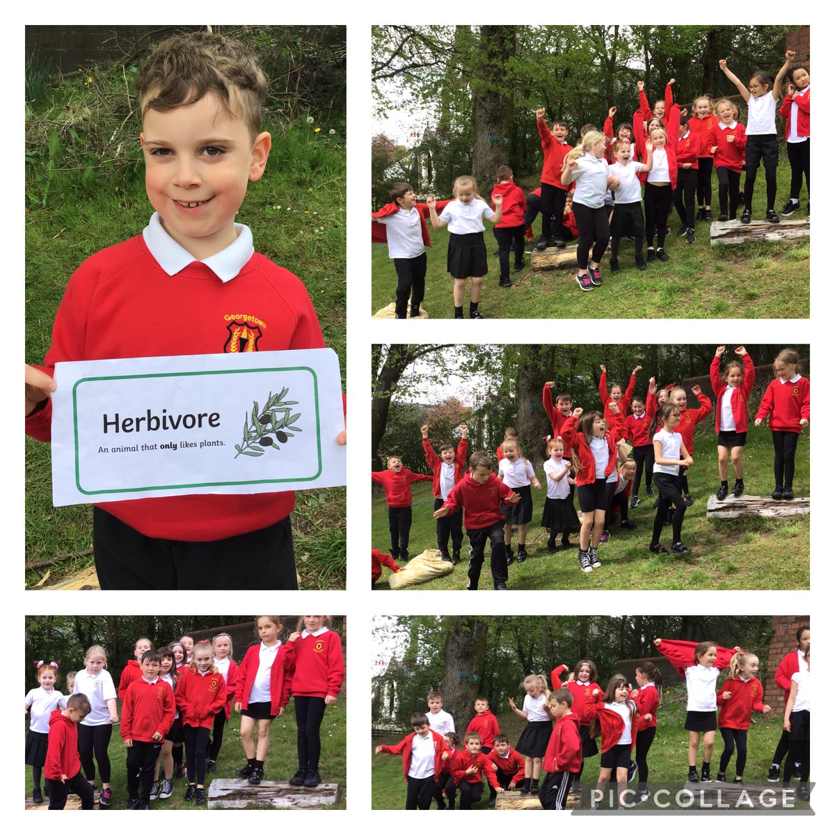 GPSMrsLEvans tweet media