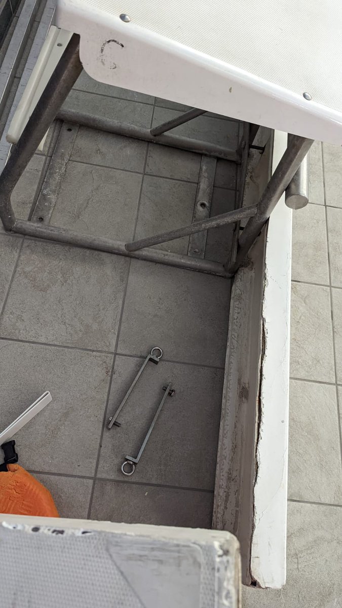 Bath Dolphin SC tweet media