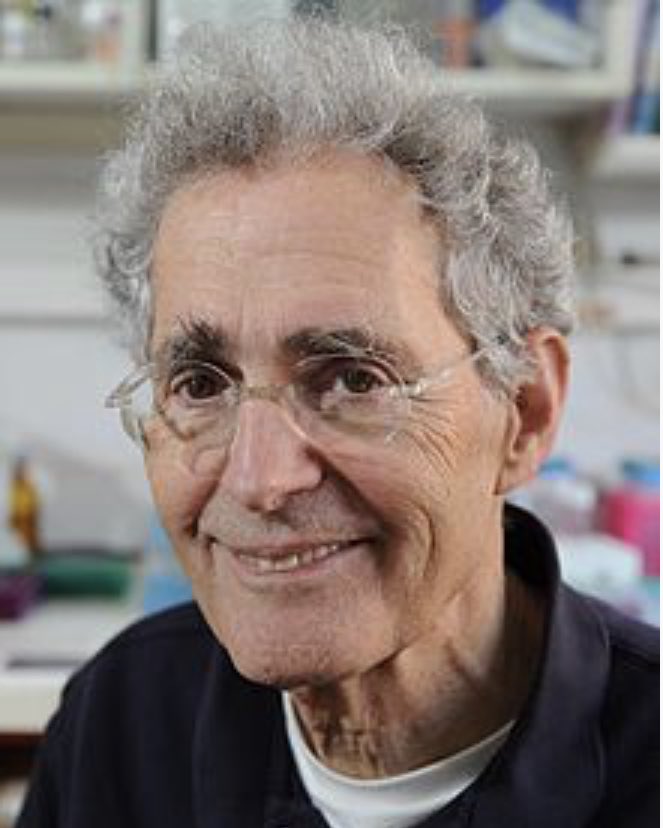 Congratulations to Prof. Haim Cedar, for being elected to the US National Academy of Sciences for his discoveries on DNA methylation. Such an inspiration. @theNASciences @Hujimed @IMRIC_HUJ