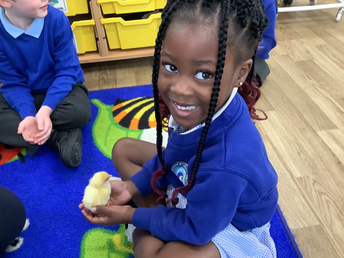 StMarysCF11Rec's tweet photo. We held the chicks. They are very soft. https://t.co/RRUa6bIPRy