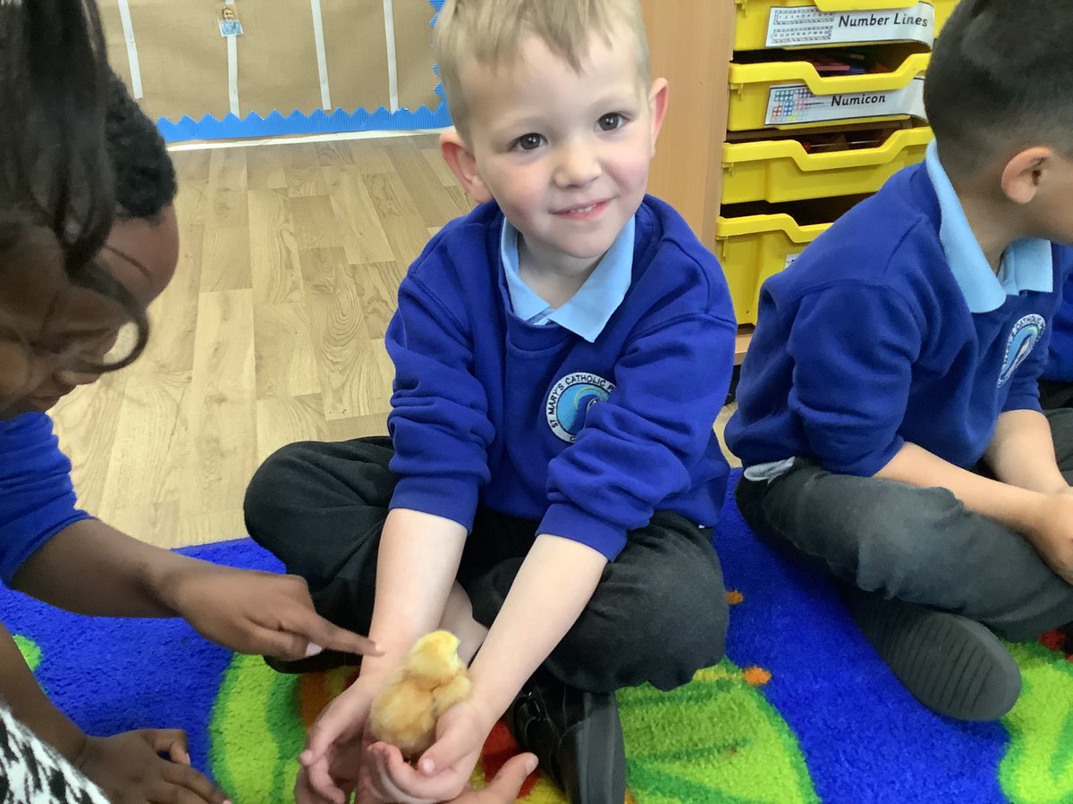 StMarysCF11Rec's tweet photo. We held the chicks. They are very soft. https://t.co/RRUa6bIPRy