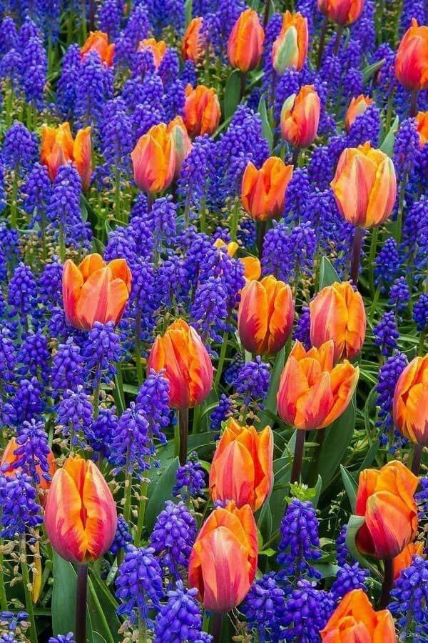nature_petals's tweet photo. Often, the big problem is that we want to receive what we offer, and that doesn't happen. Do you know why?
 Because everyone gives what they have 
💚✨💚✨🌹❣️
#selfcare #ExpectGreatness #happiness https://t.co/7od80k1qqb