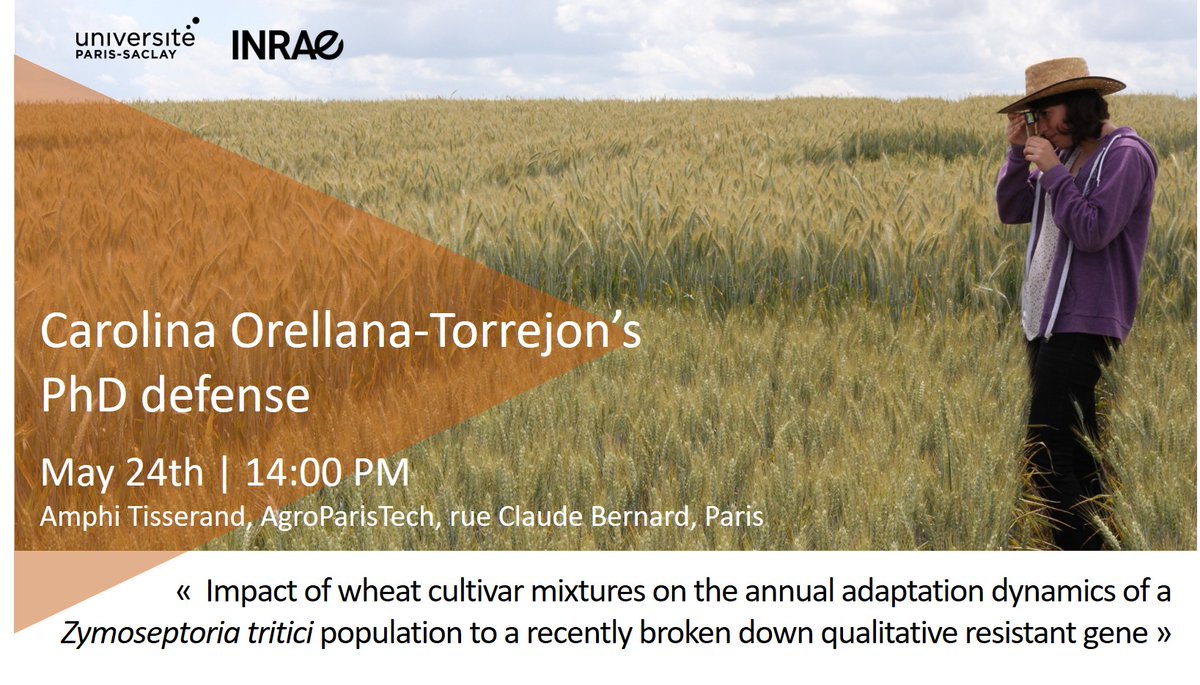 Frédéric Suffert (@wheatpath) on Twitter photo Pleased to annonce that Carolina Orellana-Torrejon will defend her PhD 👩🎓 on May 24th, 2022 <a href="/AgroParisTech/">AgroParisTech</a>:
"Impact of #wheat cv mixtures on the annual adaptation dynamics of a #Zymoseptoria tritici pop. to a recently broken down qualitative R gene"
@INRAE_Bioger <a href="/INRAE_ECOSYS/">ECOSYS</a> Pleased to annonce that Carolina Orellana-Torrejon will defend her PhD 👩🎓 on May 24th, 2022 <a href="/AgroParisTech/">AgroParisTech</a>:
"Impact of #wheat cv mixtures on the annual adaptation dynamics of a #Zymoseptoria tritici pop. to a recently broken down qualitative R gene"
@INRAE_Bioger <a href="/INRAE_ECOSYS/">ECOSYS</a>