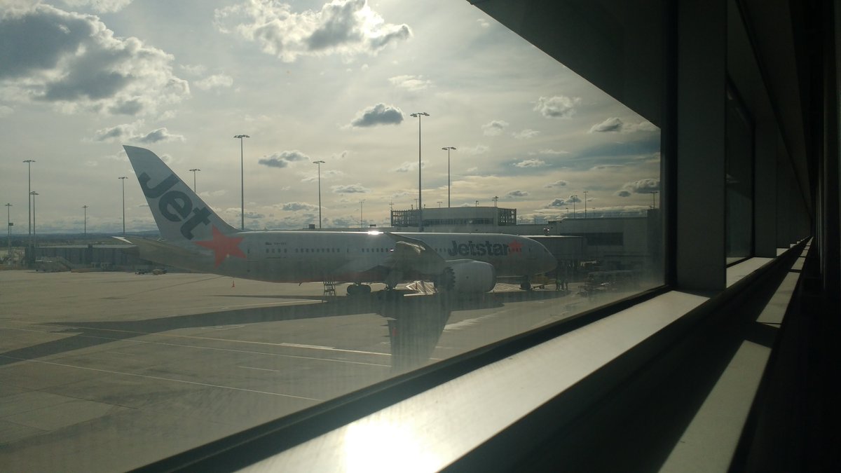 GoldenFennec's tweet image. It&apos;s been a while... What are these things called again?