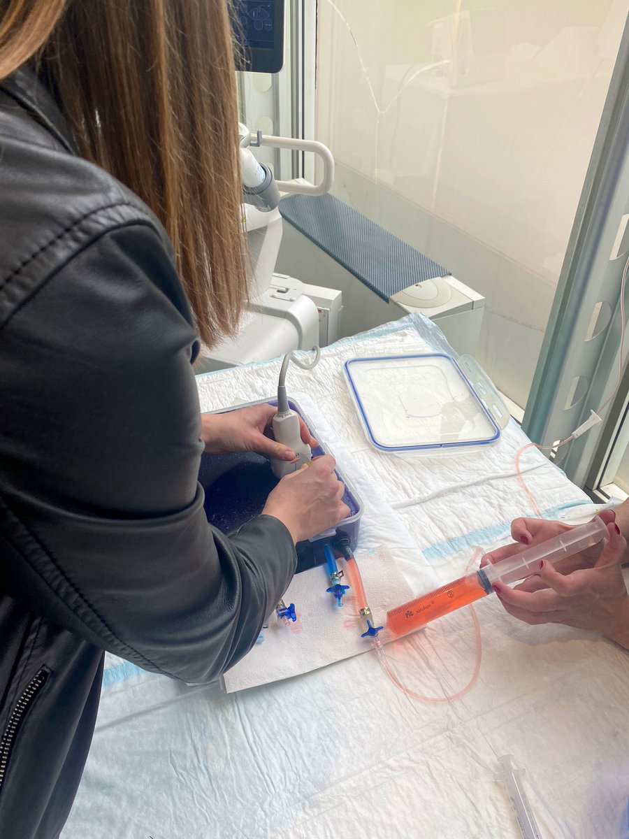 GraziellaPompei's tweet photo. Echo-guided femoral artery access: interactive training village at #TurinCTO & #CHIP
@RobertaCampan13
@terumobct https://t.co/ZEXdLyxcmu
