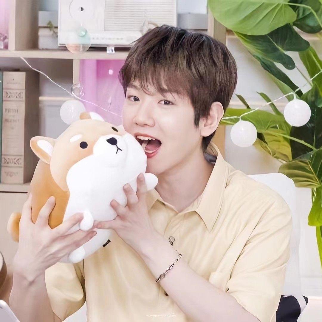 Zohaexol's tweet photo. HAPPY BIRTHDAY 🍰🎂🍭
#BAEKHYUN
#EXO @weareoneEXO @B_hundred_Hyun @layzhang https://t.co/mT4ophhiJr