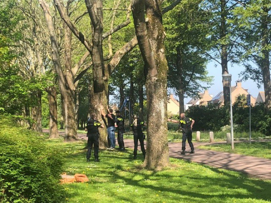 Bodille Branderhorst tweet media