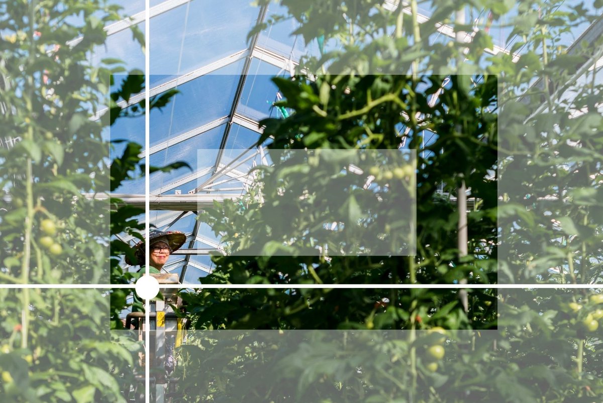 Irys Photographie tweet media