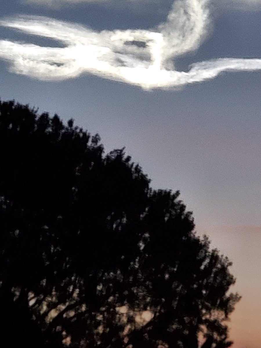 Isadora (@enchantressizzy) on Twitter photo 