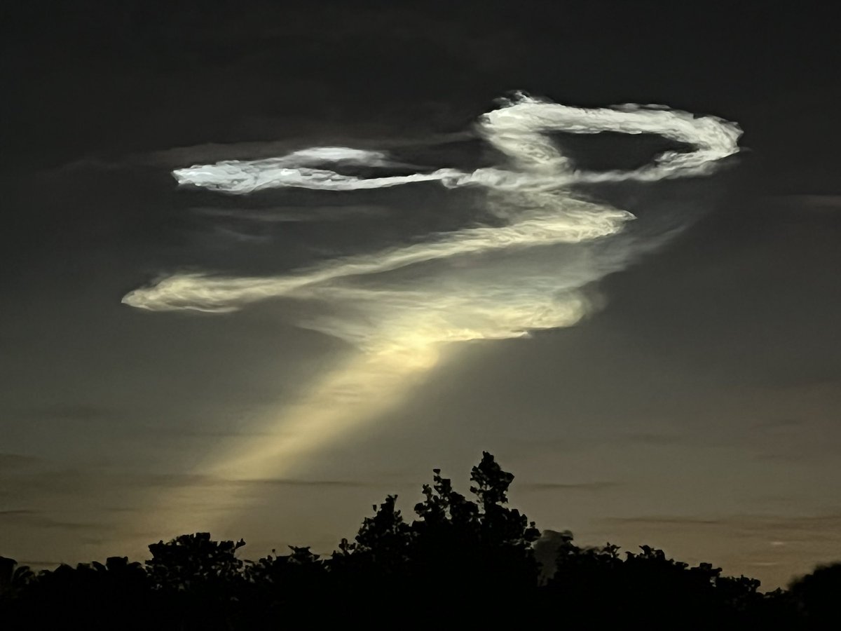 Marceeeya's tweet photo. @elonmusk Eastern sky from St Petersburg, FL this morning. #spacex starlink launch. When do you sleep? https://t.co/2wIeon1tA1