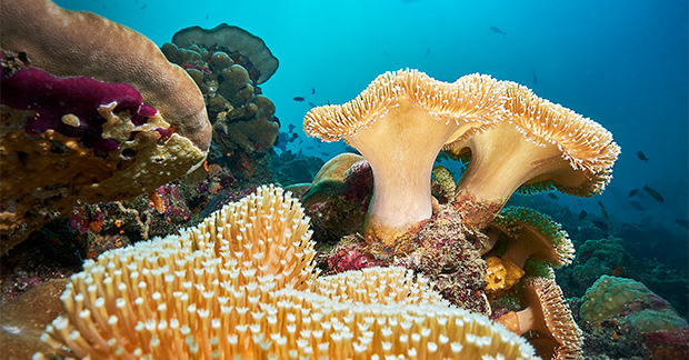 HolidayOfferMv's tweet photo. 5 of the best underwater proposal spots | Travel Weekly https://t.co/WovVNOHtm5
#Maldives #Holiday #Offer #Honeymoon #Resort #Guesthouse #Beach #WaterVilla https://t.co/teqey9a9EX