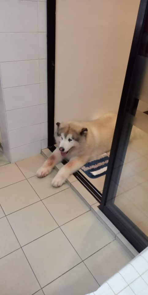 CryptoRoo tweet media