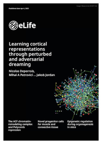 NeuroTMA's tweet photo. And now published in @eLife! Well done @NDeperrois @_jakobj and @CompNeuro_WS 🥳👏

@HumanBrainProj @unibern #neurotwitter #neuroscience https://t.co/NEFz74cbs3