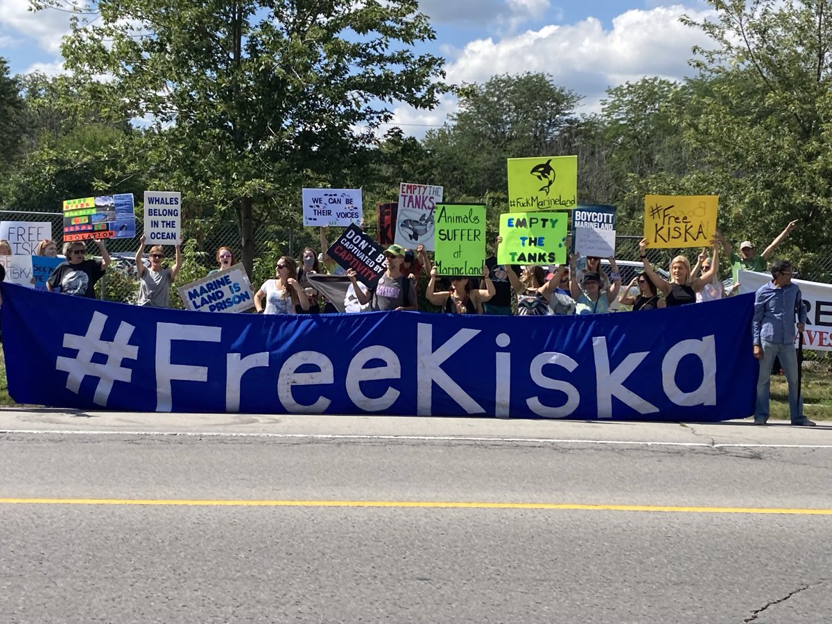 Hey Toronto: We will be at the Southwest corner of Yonge and Dundas in front of the Eaton Centre at 11AM tomorrow (May 7th) for the annual Empty The Tanks event. See you there! #FreeKiska #SaveLolita