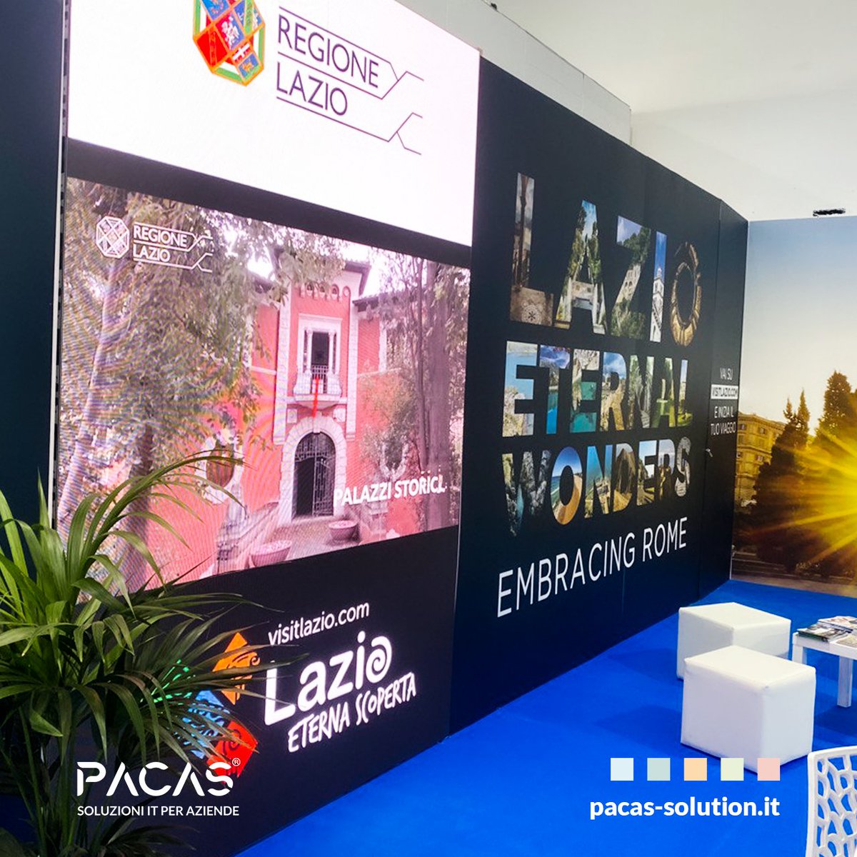 Pacas Solution tweet media
