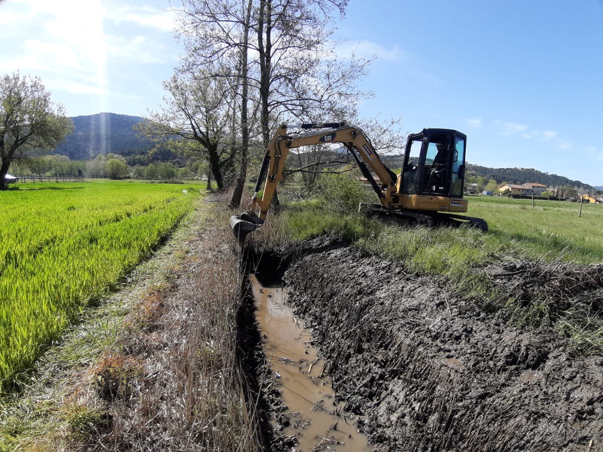 La ‘svolta verde’ del Consorzio trova piena cittadinanza nel nuovo statuto. Ridolfi: “Sicurezza idraulica non può prescindere dalla cura dell’ambiente e dall’impegno contro i cambiamenti climatici”
