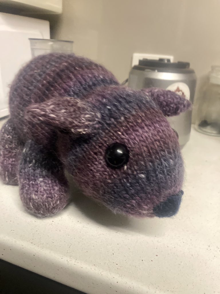 hwhazelnuts's tweet photo. One of our hazelnut customers has submitted a knitted wombat or two in the inagural WOMBAT FESTIVAL ART SHOW in Clermont QLD and we got one too! 🤎
We have the Common wombat not the threatened Hairy Nosed wombat. And yes, wombats have teeny tails.
https://t.co/yFznT5esqo https://t.co/EBl1bwik4i