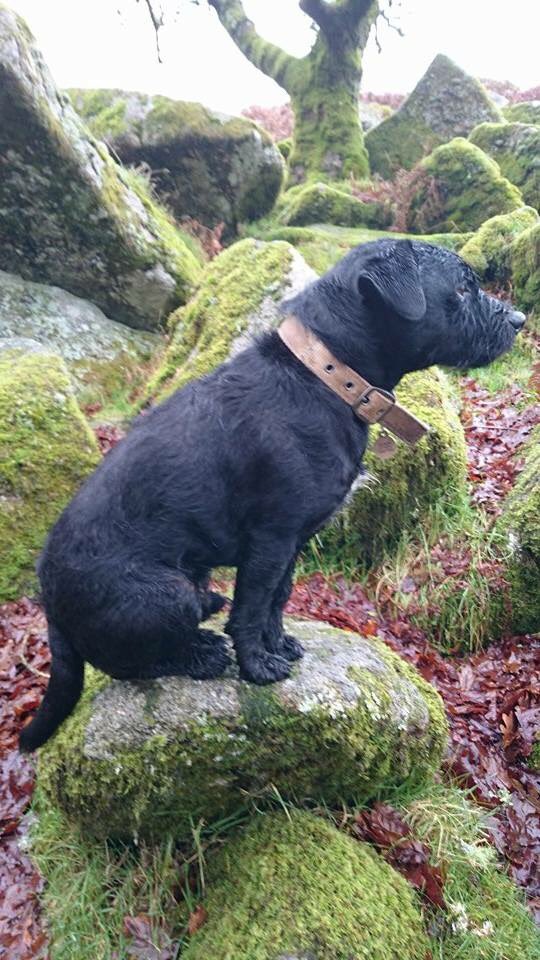 🚀Hattie Taylor RN DN QN🌈 tweet media