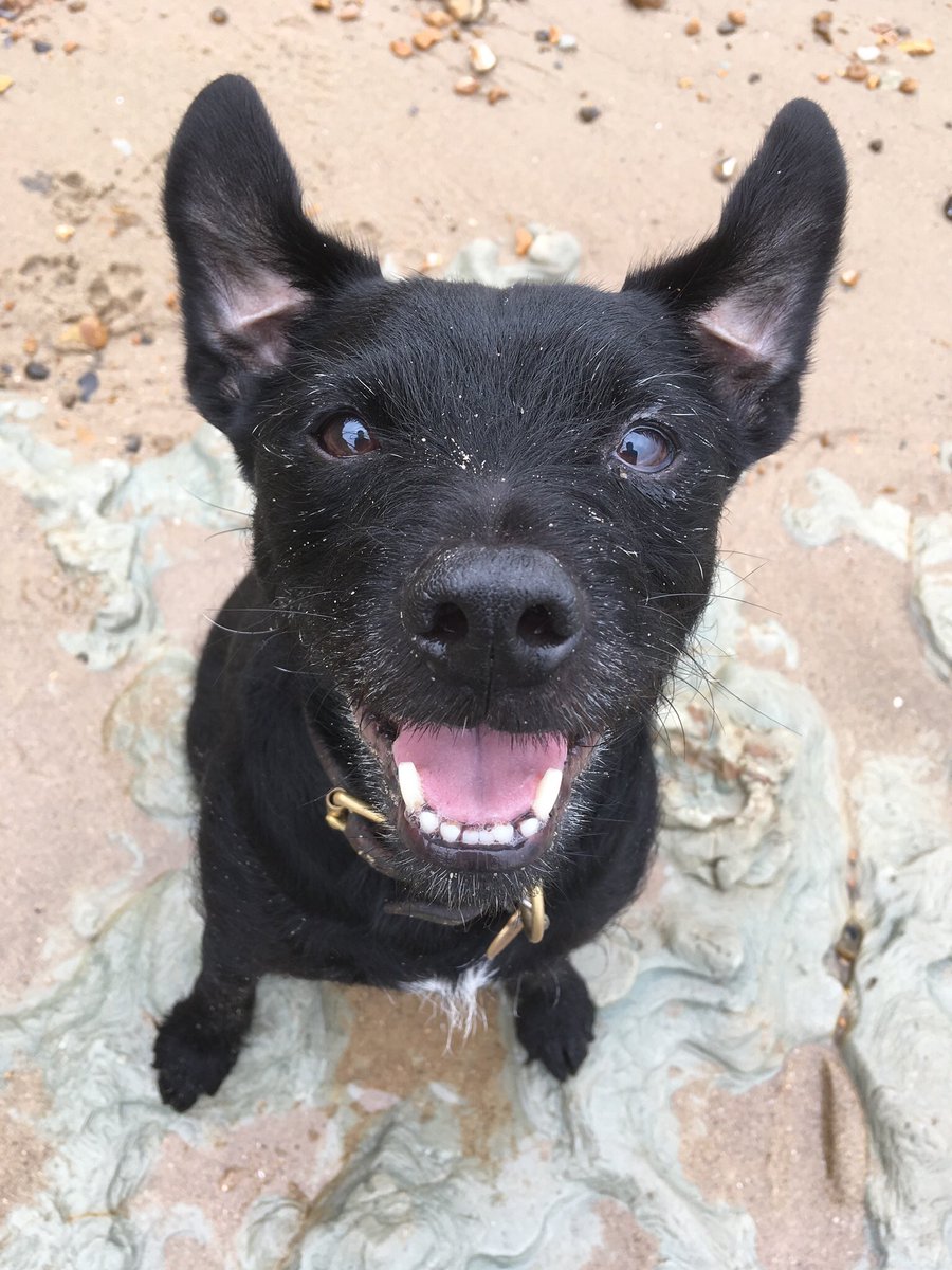 🚀Hattie Taylor RN DN QN🌈 tweet media