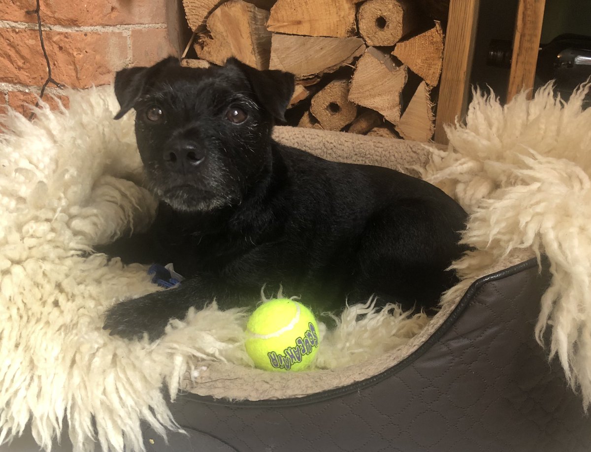 🚀Hattie Taylor RN DN QN🌈 tweet media