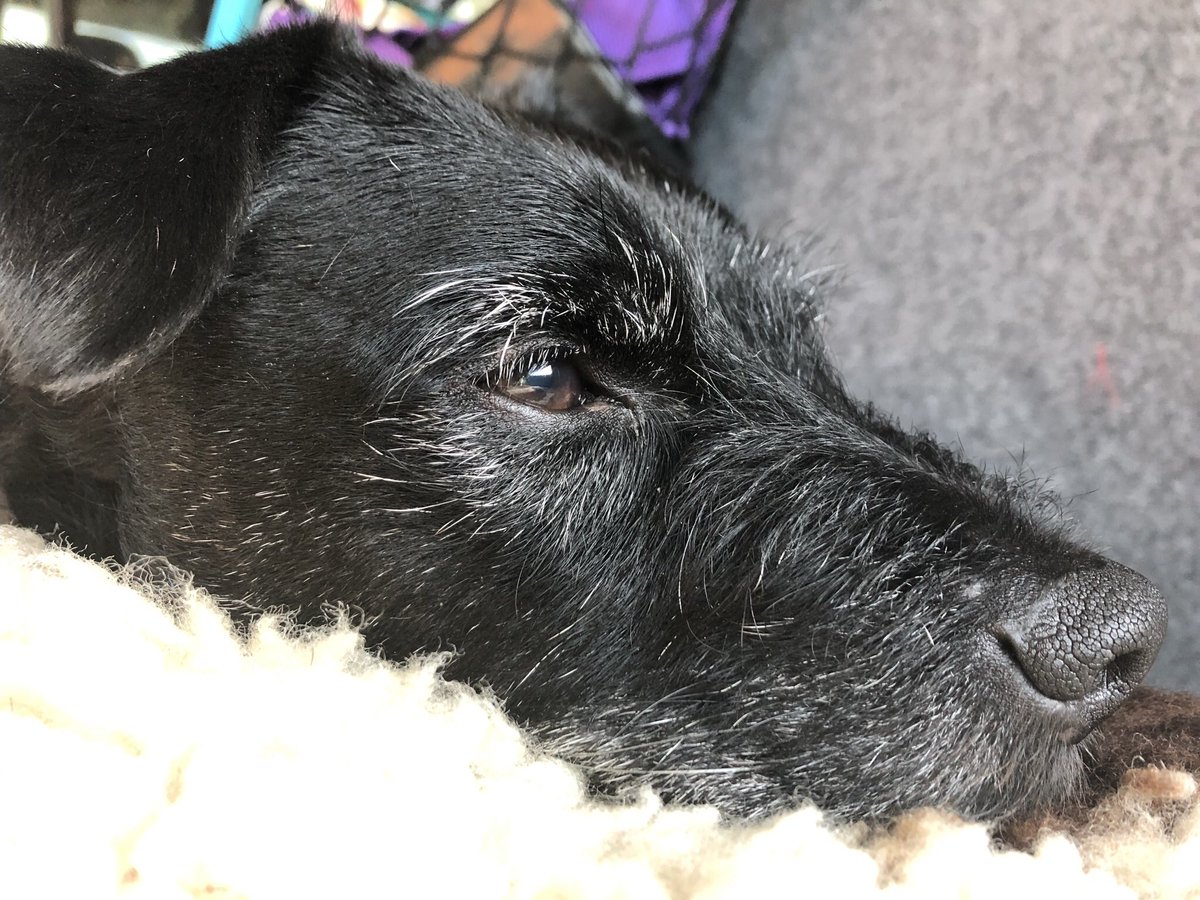 🚀Hattie Taylor RN DN QN🌈 tweet media