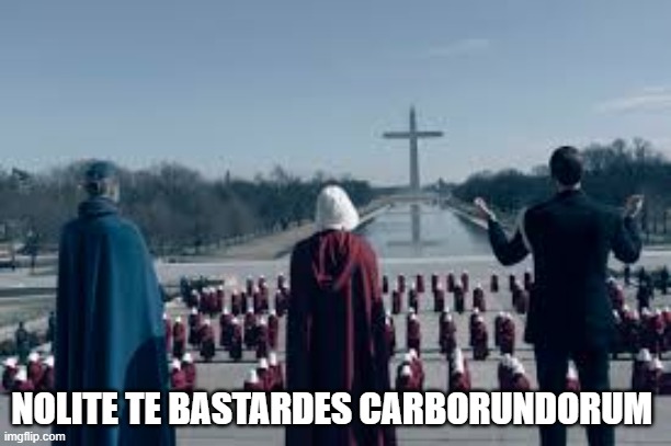 Section 8 Guitars tweet media