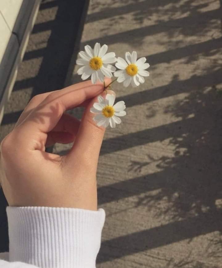 ... 

Kulun kalbine verdiği en büyük teselli.
Rabb'inin kalbine verdiği inşirah'tir. 

#NaZLı🌼