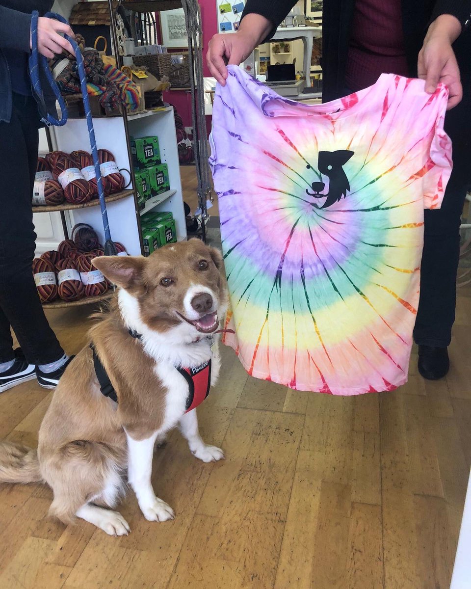 zakthecolliedog's tweet photo. After ordering a Justine Nettleton print the Armstrong’s and their precious Ruby dog couldn’t resist leaving without a Zak Legacy T-Shirt 🐶
@BCTGB To shop the Zak goodies go here > https://t.co/PBzHGjgw80
#zakthecolliedog #lakessearchdogs #colliedog #smallbuisness #localartists https://t.co/B23pGhqeT2