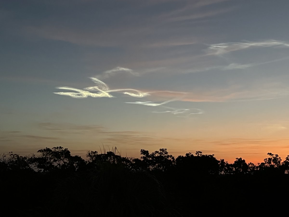 JasonDunning's tweet photo. So many great pictures of the noctilucent cloud from this morning's Falcon 9 rocket launch! Thank you for sharing! @NBC2 https://t.co/hzhUtG5nHK