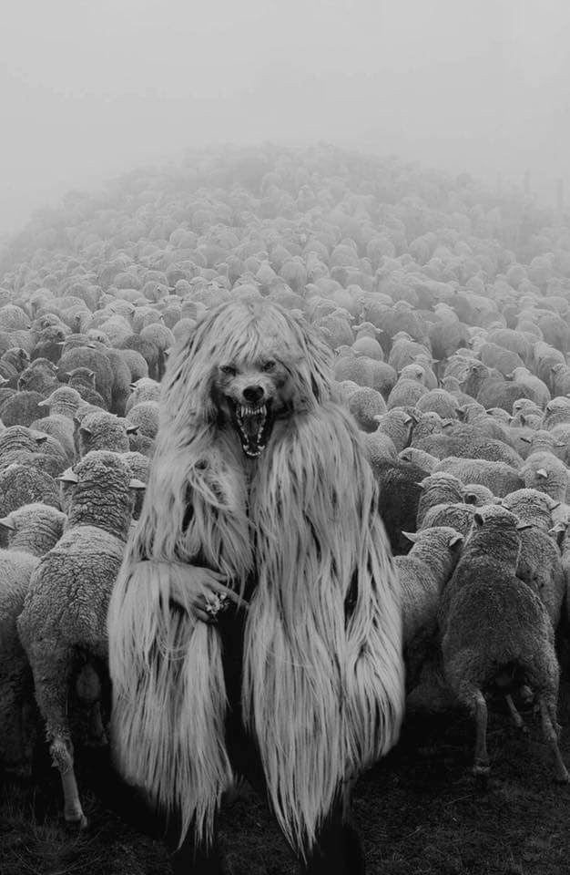 MEOWtalhead🖤🐈‍⬛ tweet media