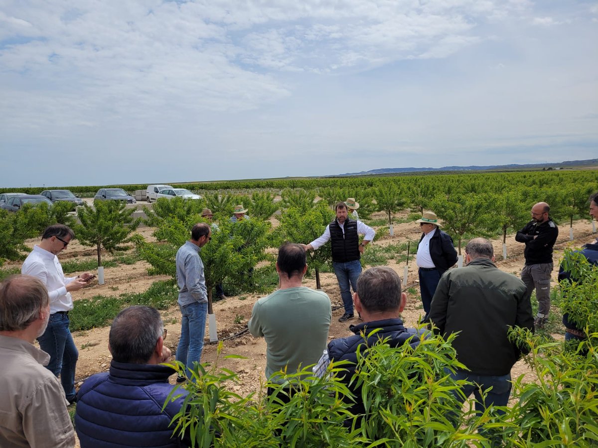 NaanDanJainES's tweet photo. 🔝👨‍🌾Visita a finca de #Almendro en las cercanías de Zaragoza durante #Fima2022: la ocasión para varios #agricultores de la zona de aprender más acerca de las soluciones que ofrecemos en #Naandanjain #Amnondrip #Filtros #rootsense https://t.co/JT23OxDeUc