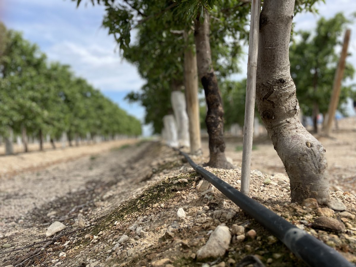 NaanDanJainES's tweet photo. 🔝👨‍🌾Visita a finca de #Almendro en las cercanías de Zaragoza durante #Fima2022: la ocasión para varios #agricultores de la zona de aprender más acerca de las soluciones que ofrecemos en #Naandanjain #Amnondrip #Filtros #rootsense https://t.co/JT23OxDeUc