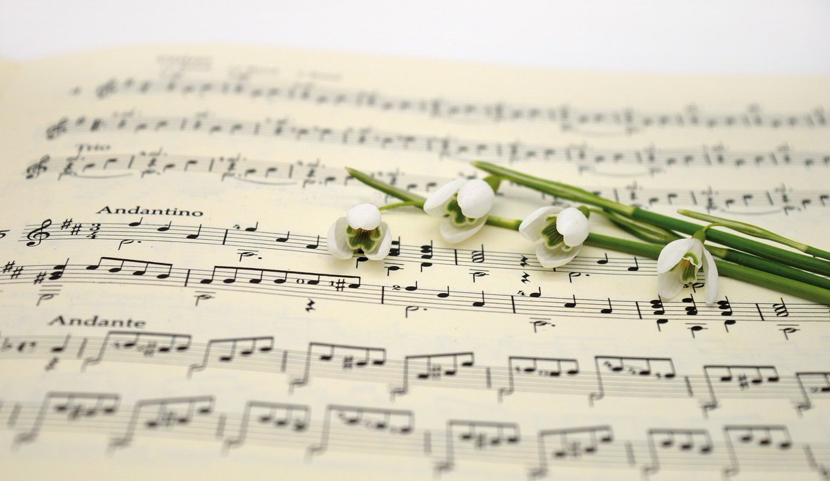 comm_hospice's tweet photo. To mark #DMAW22, we asked our supporters, patients, carers, volunteers and staff to share their ‘Song to Remember Me By’ - so presenting a playlist of everyone’s suggestions. There’s something for everyone here – we hope you enjoy listening to it! https://t.co/K7XZbGnA7Y https://t.co/KK8BJeLoTG
