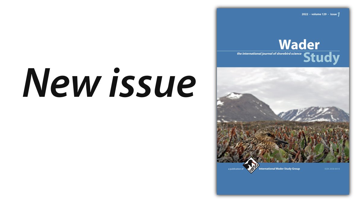 The 1st WADER STUDY issue of 2022 is complete!

Links to all the contents in this thread 👇
#waders #shorebirds #ornithology