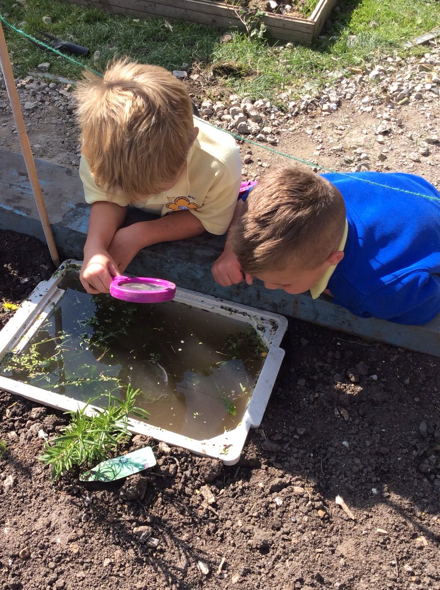 Herne Bay Infant School & Seashells Nursery tweet media