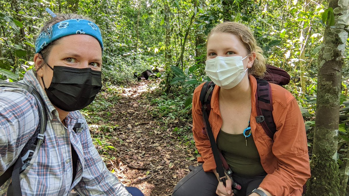 KrisSabbi's tweet photo. #Fieldwork always has it's ups and downs- and they're so much more fun when you have an awesome teammate like ✨ @IsabelleGMonroe ✨

#FieldworkFriday #chimpanzee https://t.co/vHUTffnV6K