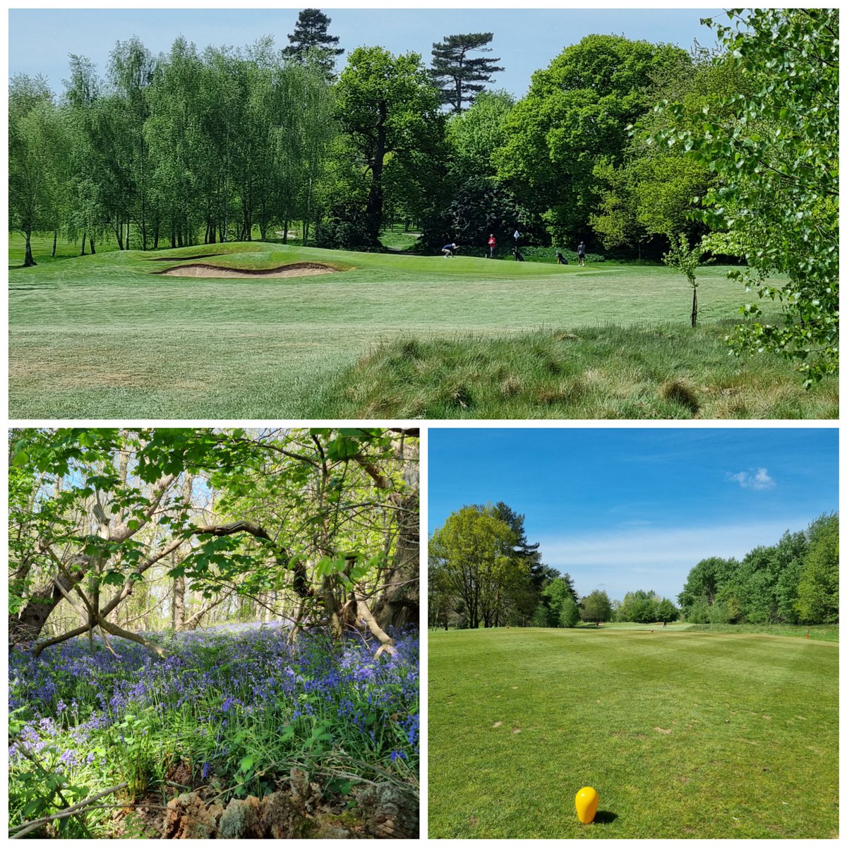 Brad McLean tweet media