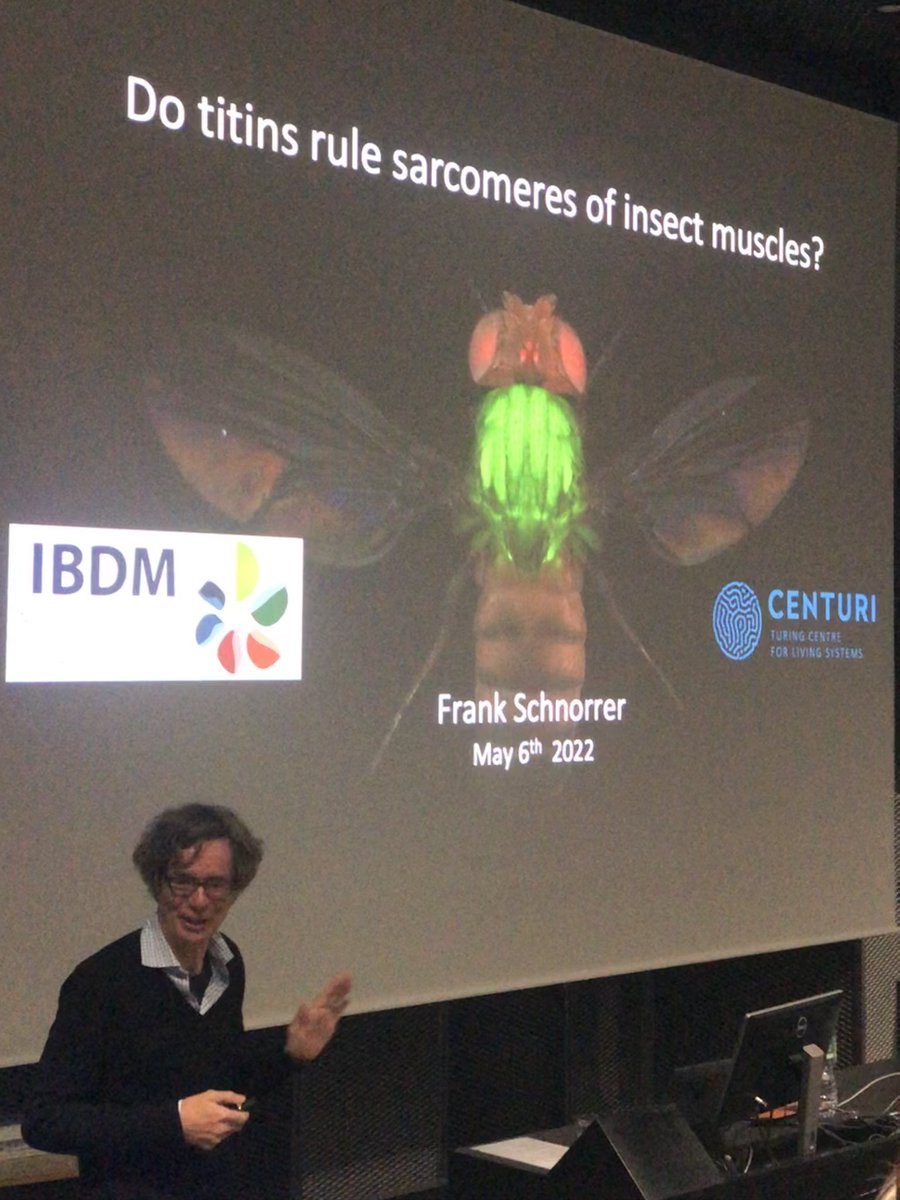 Charlène Ryan-Guillot (@charln_rguillot) on Twitter photo Very happy to listen to <a href="/SchnorrerL/">Frank Schnorrer</a> today at the <a href="/GReD_Clermont/">Institute Genetics, reproduction & development</a> external seminars series. Lots of memories when I see this logo 😍<a href="/IBDMmarseille/">IBDM</a> Very happy to listen to <a href="/SchnorrerL/">Frank Schnorrer</a> today at the <a href="/GReD_Clermont/">Institute Genetics, reproduction & development</a> external seminars series. Lots of memories when I see this logo 😍<a href="/IBDMmarseille/">IBDM</a>