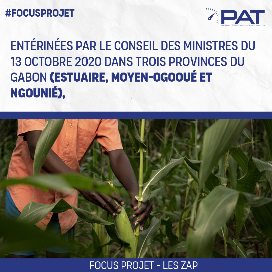 GADeveloppement's tweet photo. #FocusProjet sur " les Zones agricoles à forte Productivité ", des réalisations qui contribuent à la mise en place d'une meilleure autonomie alimentaire #Gabon tout en accompagnant de nombreux investisseurs nationaux et internationaux dans ce secteur.
#TransformGabon #PATGabon https://t.co/WoJGeqw8SI