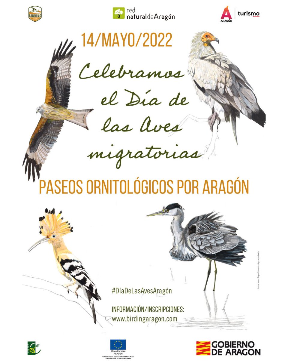 El próximo 14 de mayo es el #DíadelasAvesMigratorias y desde <a href="/BirdingAragon/">BirdingAragon</a>  han organizado en todo el territorio aragonés distintos paseos para observar las aves de dichos entornos. Apúntate gratis en: birdingaragon.com #DíadelasAvesAragón