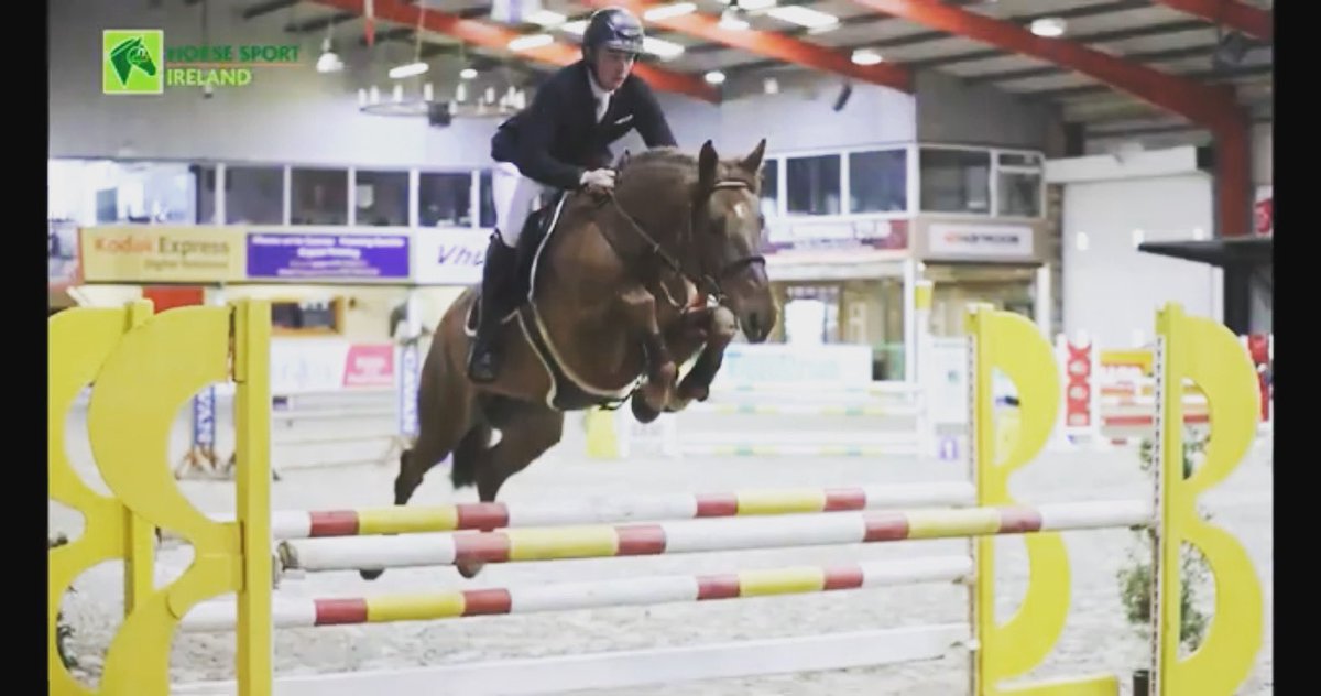 DarraghryanSH's tweet photo. “As you want Z” 😍😍😍 #zangershiede #stallion #kneesup #millfieldfarm @zangersheide @HorseSportIRL https://t.co/anyM6SIhma