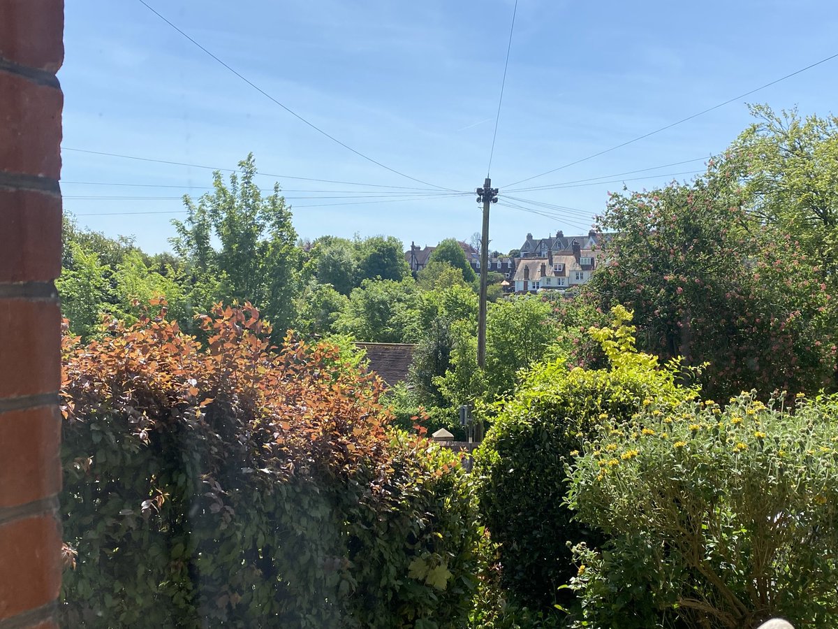 Jon Neale tweet media