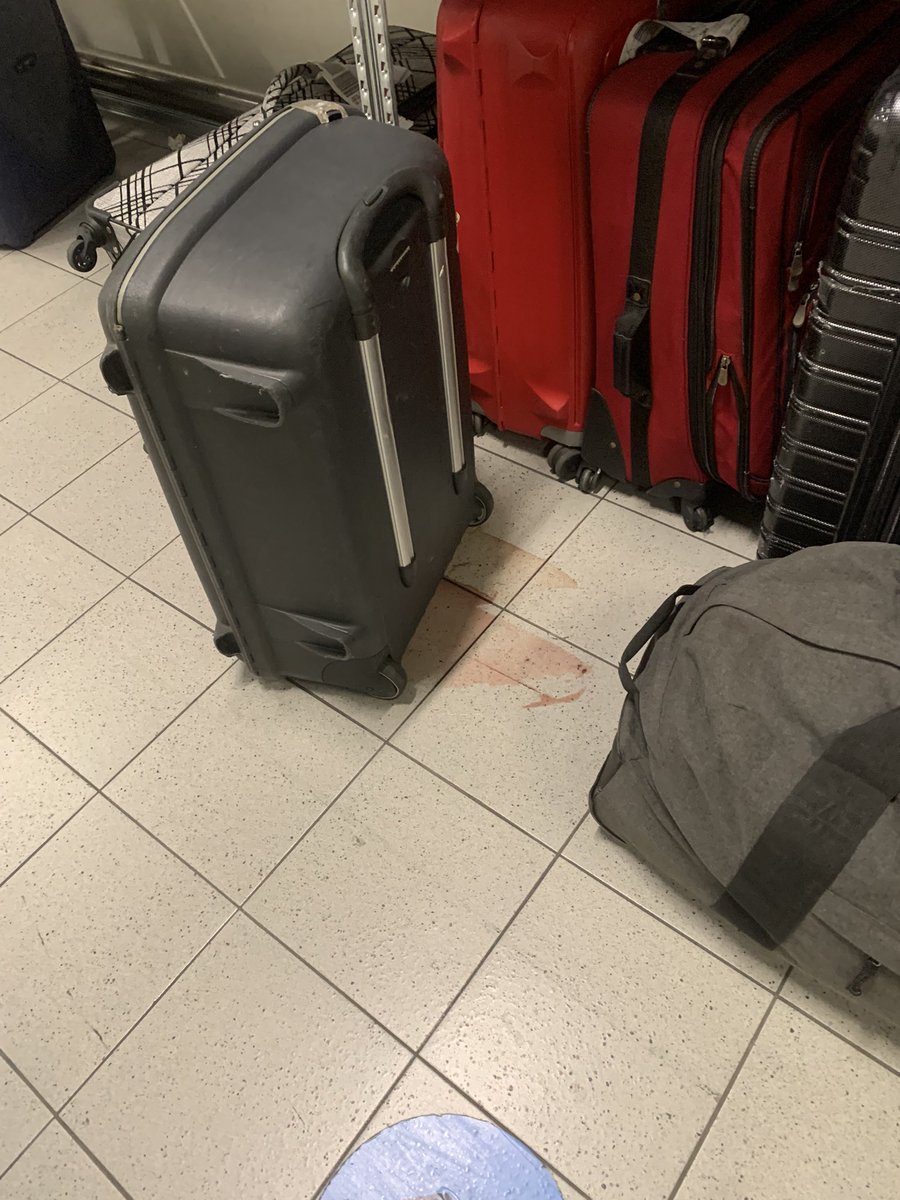 SnailDad_'s tweet photo. @Schiphol @KLM between luggage belts 1-14 and 15-22 there is a hallway with stored luggage. One of these pieces of luggage seems to contain meat or something. It is clearly spoiled. The entire hallway REEKS of it. It is absolutely vile. It also seems to be leaking onto the floor https://t.co/9xtNucRCeU
