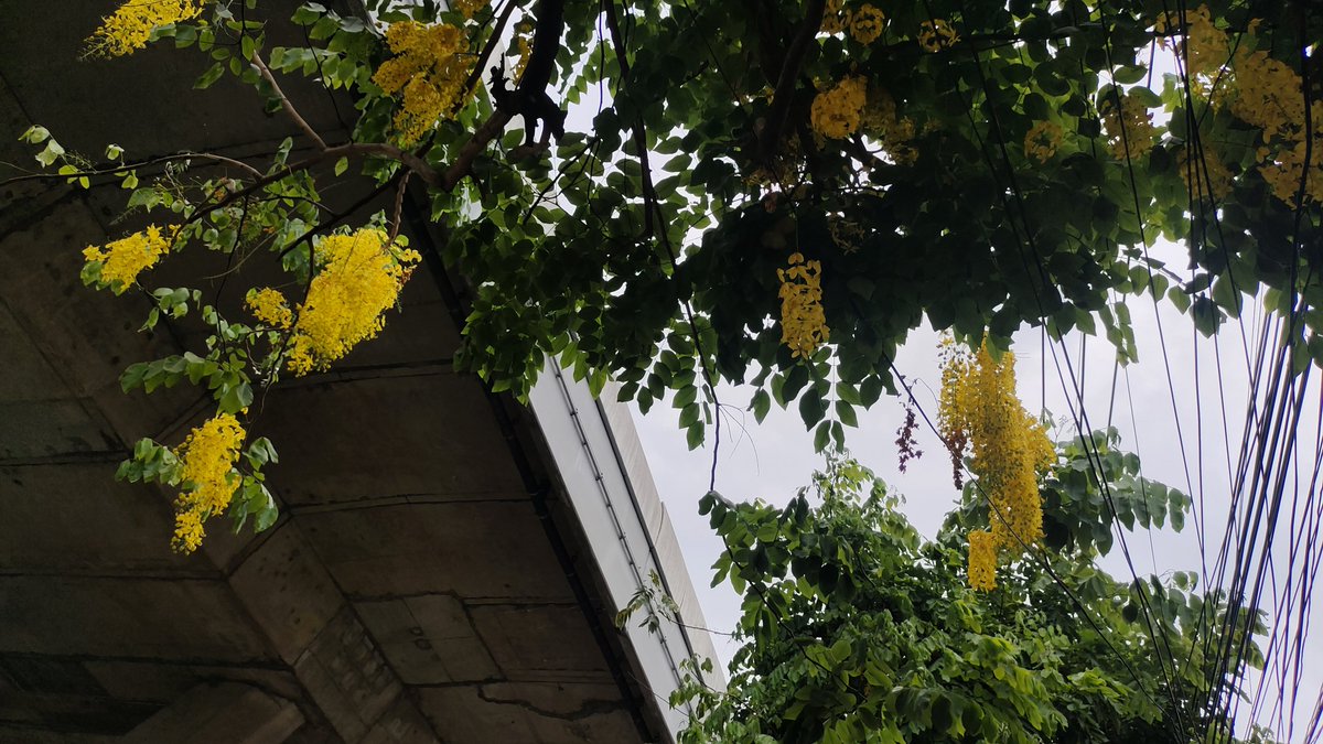 #เมื่อตะวันส่องฟ้า