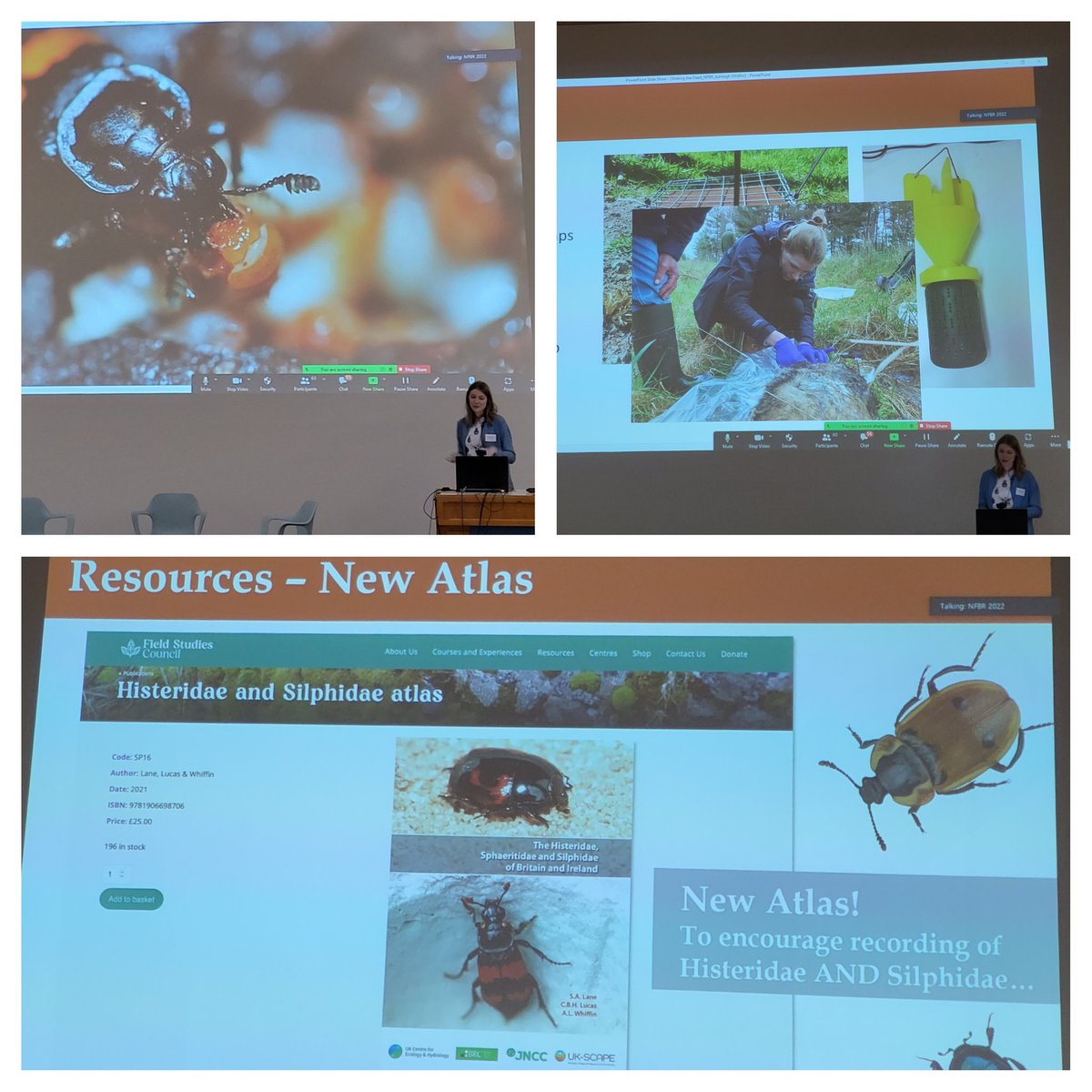 Amo Spooner tweet media