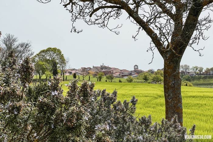 ¡Nuevo artículo sobre #Tiedra! Un pueblo para enamorarse por su impresionante castillo 🏰, sus campos de lavanda 💜, los cielos estrellados ✨ y un patrimonio histórico alucinante 🥰

➡️ viajeros30.com/2022/05/06/que… 

<a href="/escapadarural/">EscapadaRural.com</a> <a href="/Tiedra_/">Turismo Tiedra</a> #CapitaldelTurismoRural #lavidaenverde