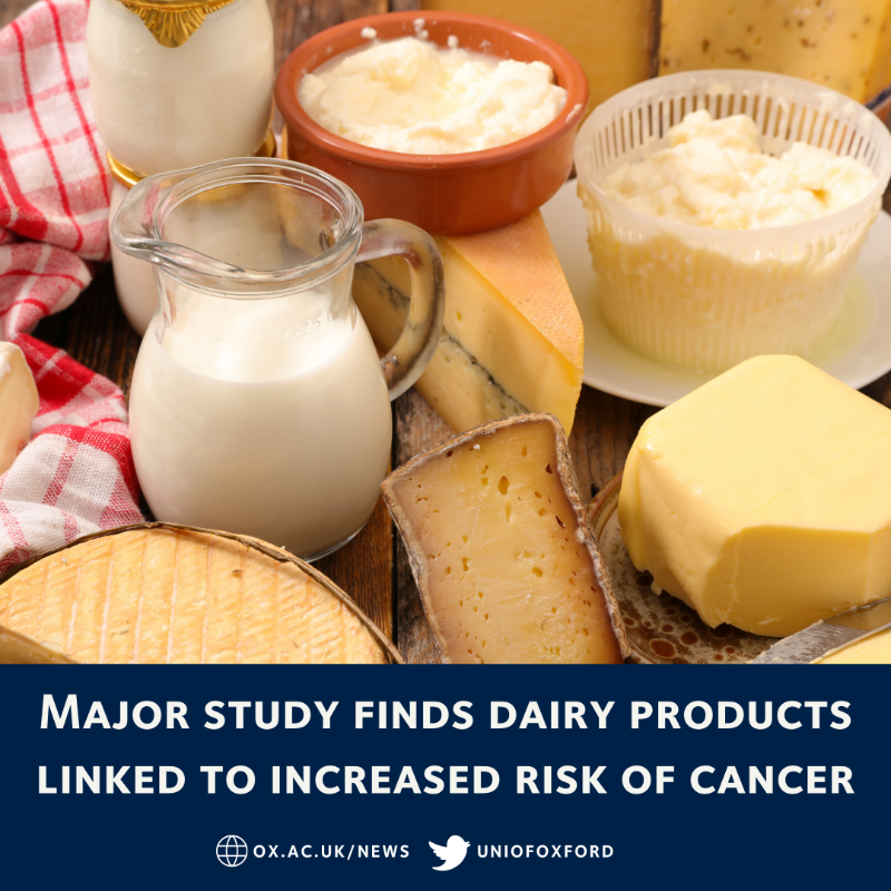 UniofOxford's tweet photo. NEW RESEARCH: A major study has found an association between dairy consumption and an increased risk of cancer in Chinese adults.

The research discovered higher risks of liver cancer and female breast cancer.

Key findings ⬇️