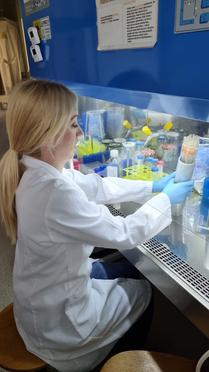 Adenovirus research group_Ruder Boskovic Institute (@adenoteam) on Twitter photo Thanks to <a href="/enova_costEU/">@enovaEU</a> STSM Brankica @bfilipic came to visit us <a href="/IsabelaPehar/">Isabela Pehar</a> <a href="/DragomiraMajhen/">Dragomira Majhen</a> at Ruder Boskovic Institute <a href="/institutrb/">Ruđer Bošković Institute</a> Thanks to <a href="/enova_costEU/">@enovaEU</a> STSM Brankica @bfilipic came to visit us <a href="/IsabelaPehar/">Isabela Pehar</a> <a href="/DragomiraMajhen/">Dragomira Majhen</a> at Ruder Boskovic Institute <a href="/institutrb/">Ruđer Bošković Institute</a>