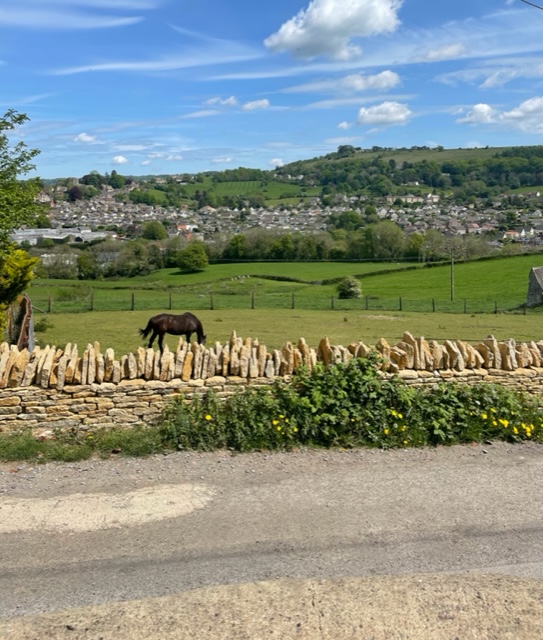 Time flies when you are busy - mailchi.mp/efc7b4abccf2/n…