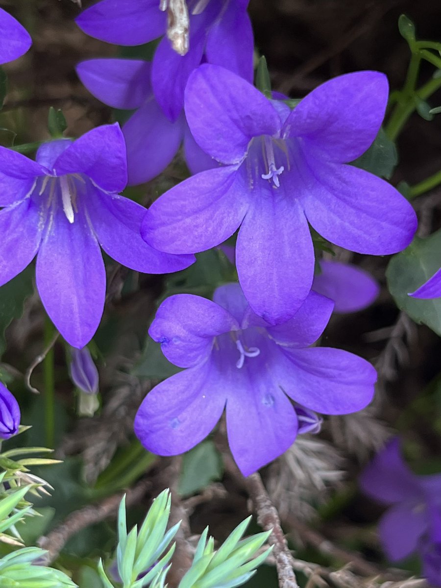 ninrubyen's tweet image. 